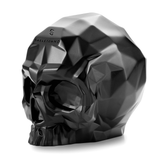 Free Gift: Large Matrix Skull ( $100 value )